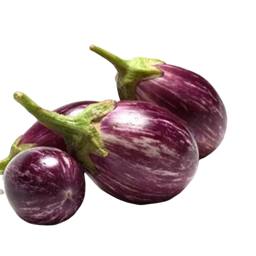 BRINJAL-removebg-preview.png