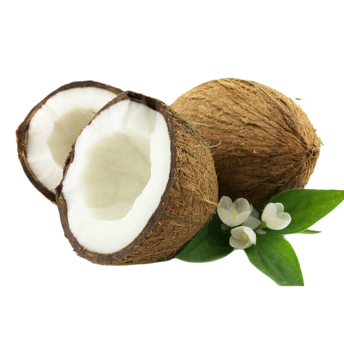 COCONUT-removebg-preview.png