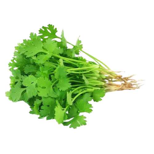 Coriander_leaf-removebg-preview.png