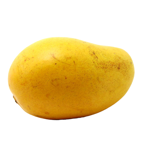 MANGO-removebg-preview.png